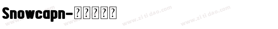 Snowcapn字体转换