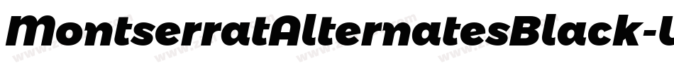 MontserratAlternatesBlack-WjXv字体转换