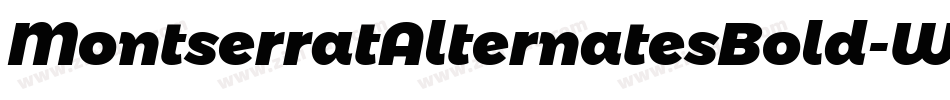 MontserratAlternatesBold-W1qO字体转换