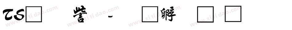 TS行書体字体转换
