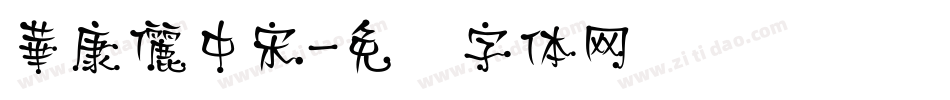 華康儷中宋字体转换