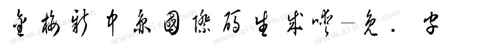 金梅新中圓國際碼生成器字体转换