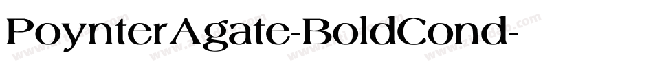 PoynterAgate-BoldCond字体转换