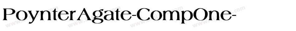 PoynterAgate-CompOne字体转换