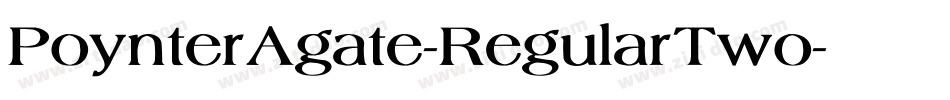 PoynterAgate-RegularTwo字体转换