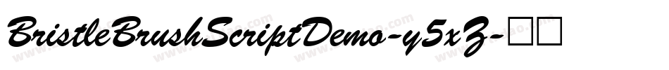 BristleBrushScriptDemo-y5xZ字体转换
