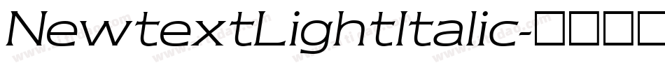 NewtextLightItalic字体转换