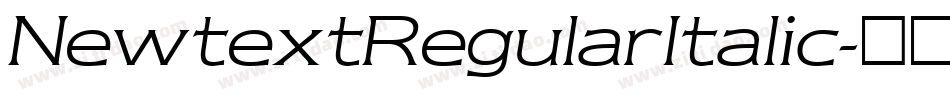NewtextRegularItalic字体转换
