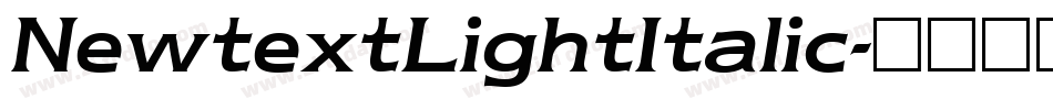 NewtextLightItalic字体转换