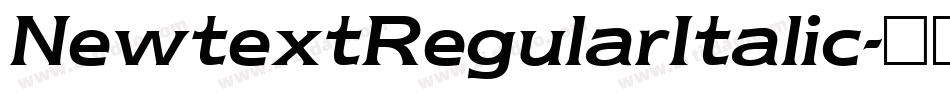NewtextRegularItalic字体转换
