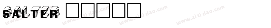 Salter字体转换