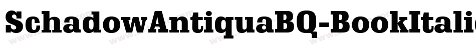 SchadowAntiquaBQ-BookItalic字体转换