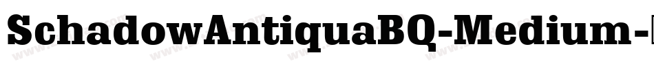 SchadowAntiquaBQ-Medium字体转换