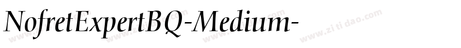 NofretExpertBQ-Medium字体转换
