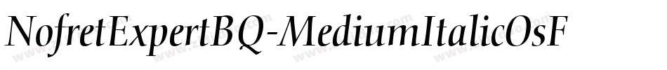 NofretExpertBQ-MediumItalicOsF字体转换