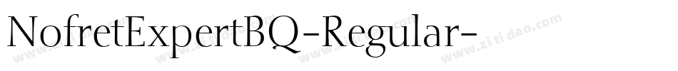 NofretExpertBQ-Regular字体转换