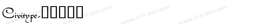 Civitype字体转换