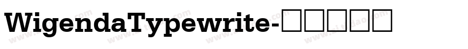 WigendaTypewrite字体转换