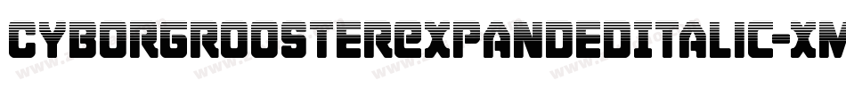 CyborgRoosterExpandedItalic-xmX8字体转换