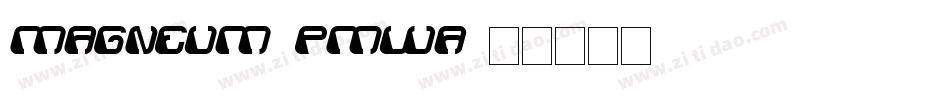 Magneum-pmwa字体转换