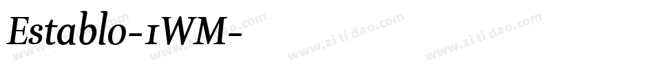 Establo-1WM字体转换