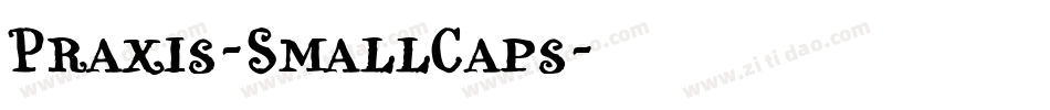 Praxis-SmallCaps字体转换