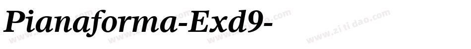 Pianaforma-Exd9字体转换