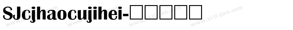 SJcjhaocujihei字体转换