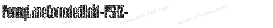 PennyLaneCorrodedBold-P5RZ字体转换