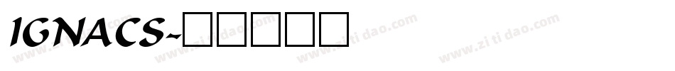 IGNACS字体转换