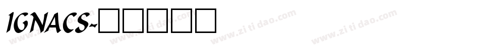 IGNACS字体转换