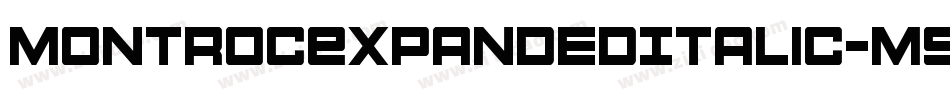 MontrocExpandedItalic-m9L2字体转换