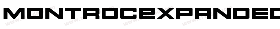 MontrocExpandedItalic-m9L2字体转换