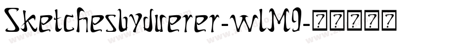 Sketchesbyduerer-wlM9字体转换