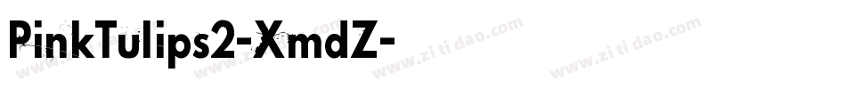 PinkTulips2-XmdZ字体转换