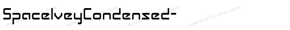 SpaceIveyCondensed字体转换