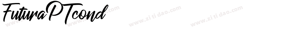 FuturaPTcond字体转换