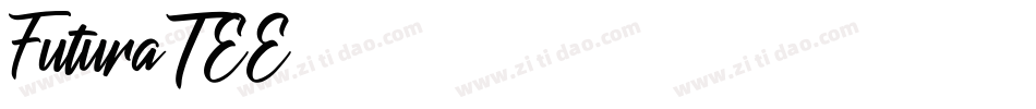 FuturaTEE字体转换