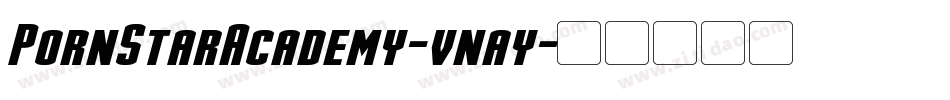 PornStarAcademy-vnay字体转换