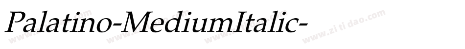 Palatino-MediumItalic字体转换