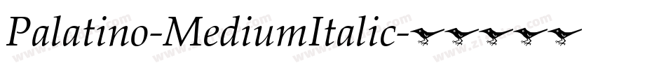 Palatino-MediumItalic字体转换
