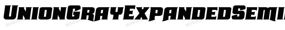 UnionGrayExpandedSemiItalic-jwMM字体转换 UnionGrayExpandedSemiItalic-jwMM字体转换