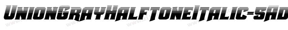 UnionGrayHalftoneItalic-5AdG字体转换