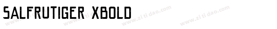 SALFrutiger-XBold字体转换