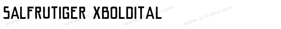 SALFrutiger-XBoldItal字体转换