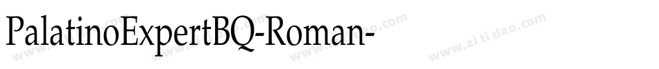 PalatinoExpertBQ-Roman字体转换