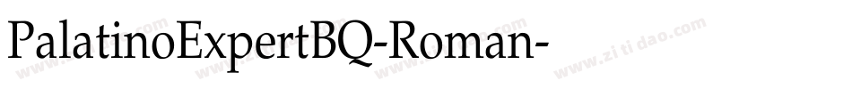 PalatinoExpertBQ-Roman字体转换