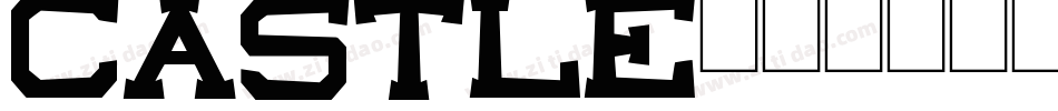 Castle字体转换