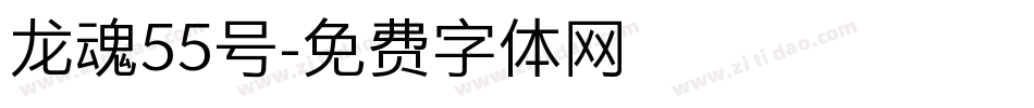 龙魂55号字体转换