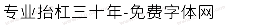 专业抬杠三十年字体转换